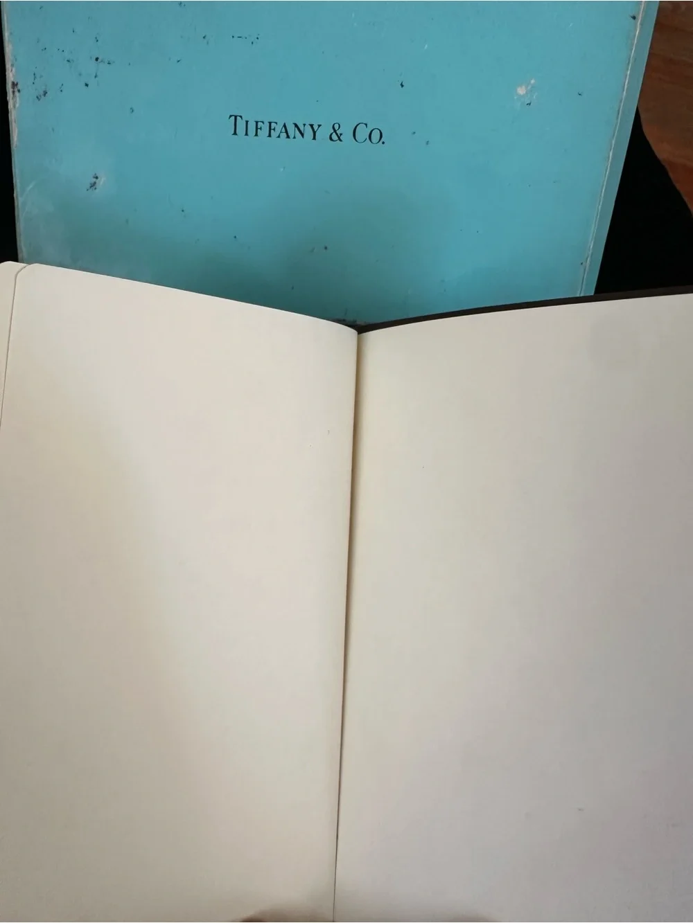 Tiffany and Co. Leather Notebook